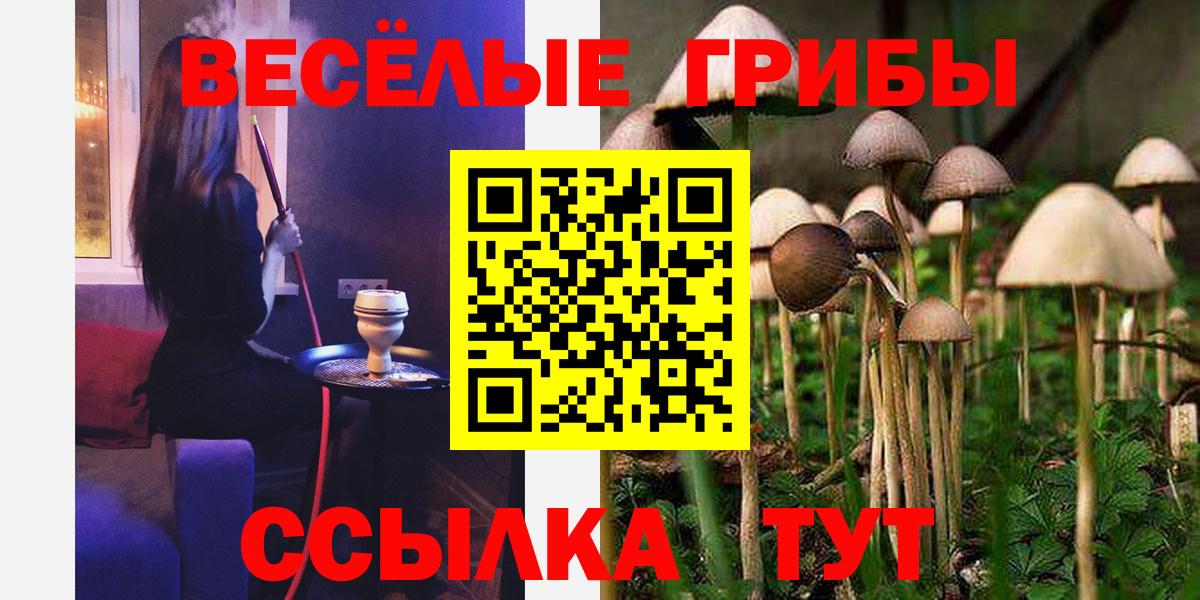 Галлюциногенные грибы ЛСД  Вход с VPN  магазин    Каменск-Уральский 