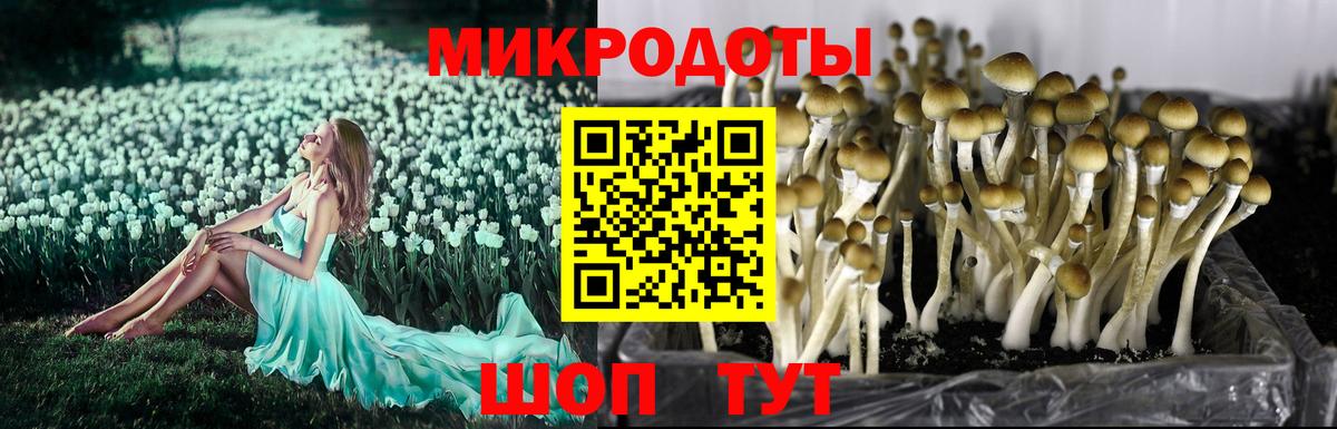 Псилоцибиновые грибы мухоморы Каменск-Уральский
